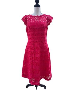 Size 8 Adrianna Papell Fuchsia Lace Fit-and-Flare Midi Dress
